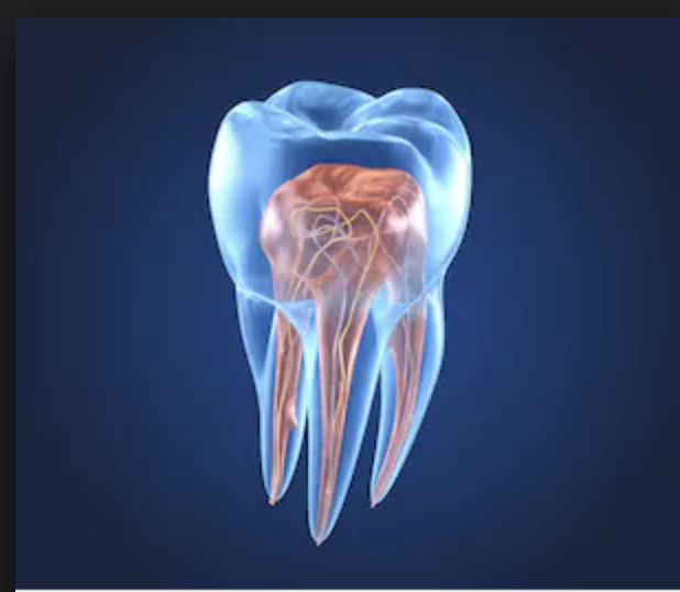 Endodontic
